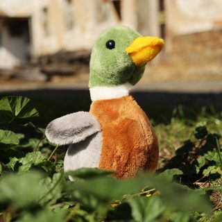 Plyšová kachna divoká 22 cm ECO-FRIENDLY