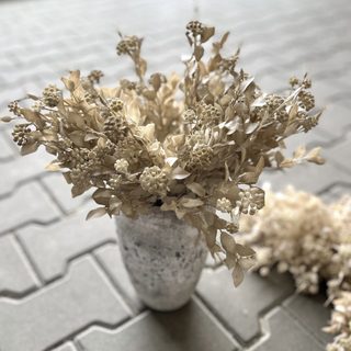 Umělý ruscus s bobulemi - světlá hnědá