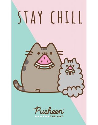 Dětský ručník Kočička Pusheen Stay Chill 30x50 cm