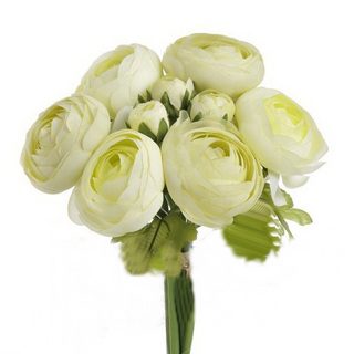 Ranunculus svazek - zelená světlá