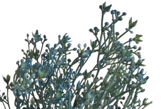 Umělá větvička broom bloom - modrá