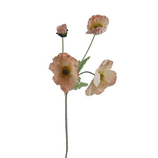 Vlčí mák X7963-33 - 64*15*5CM