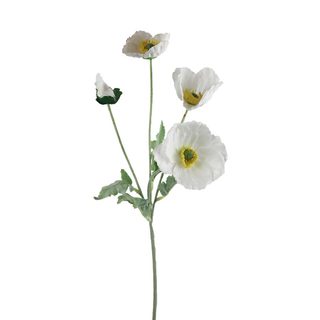 Vlčí mák X7963-01 - 64*15*5CM