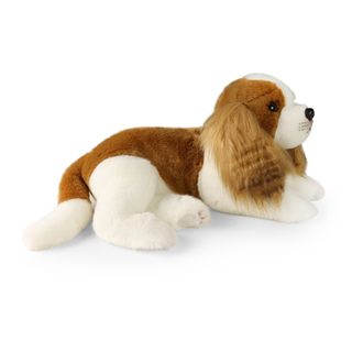 Plyšový pes kavalír king Charles španěl 40 cm