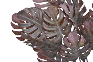 Monstera trs 35 cm - vínová