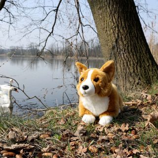 Plyšový pes corgi 32 cm