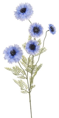 Chrpa 91 cm - světle modrá