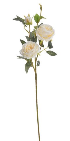 Plnokvětá růže 65 cm - krémová