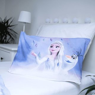 Disney povlečení do postýlky Frozen Elements baby 100x135, 40x60 cm