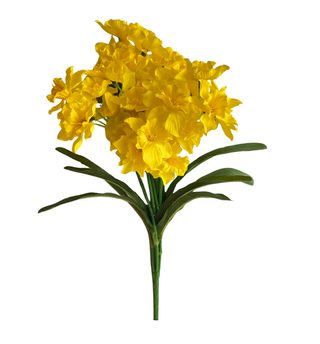 Narcis trs 7 ks - žlutá