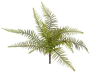 kapradina trs 47 cm - zelená