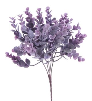 Trs eukalyptus zaprášený - fialový