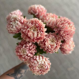 Chryzantéma 58 cm - růžová s krémovým středem