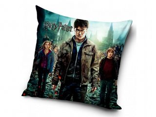 Povlak na polštářek Harry Potter a Čarodějové 40x40 cm