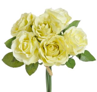 Růže 7 cm (6 ks) - žlutá s nádechem do zelena 25 cm