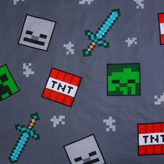 Povlečení bavlna Minecraft We Got This 140x200, 70x90 cm