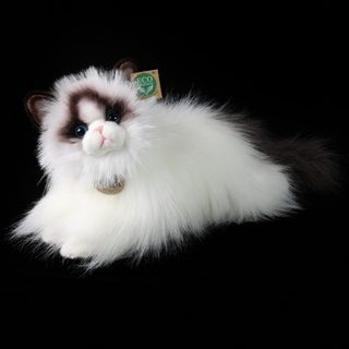 Plyšová kočka ragdoll ležící 35 cm