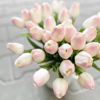 Tulipán pěnový 5 ks - bílá/růžová