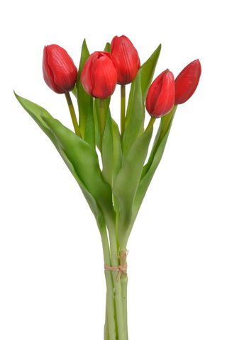 Svazek tulipánů (5 ks) - červená 30 cm