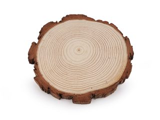 Přírodní dřevěné kolečko / podložka k domalování a dotvoření Ø14 cm