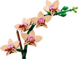 LEGO Botanicals  Miniaturní orchidej 10343
