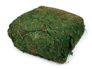 Dekorační přírodní mech 450 g