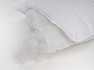 Polštář LUXUS COMFORT bílá 70x90 cm