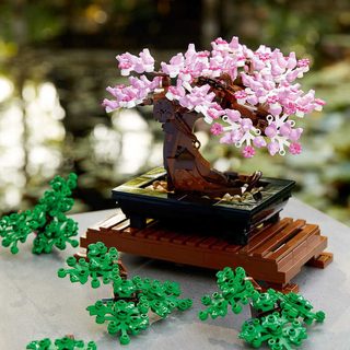 LEGO Botanicals bonsaj 10281