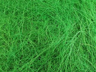 Sisal 50 g přírodní