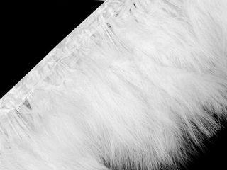 Prýmek marabu peří 12–15 cm
