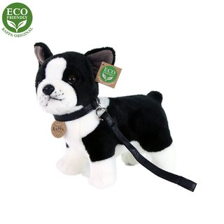 Plyšový pes francouzský buldoček s obojkem stojící, 23 cm