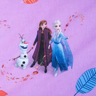 Povlečení Frozen Magical time 140x200, 70x90 cm