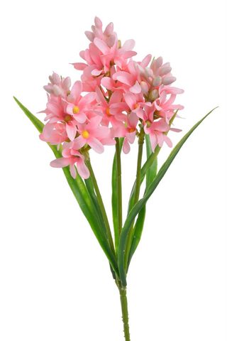 Hyacint - růžová 30 cm