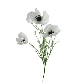 Vlčí mák X7895-01 - 60 cm