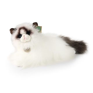 Plyšová kočka ragdoll ležící 35 cm