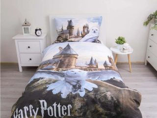 Povlečení Harry Potter Hedwig 02 140x200, 70x90 cm