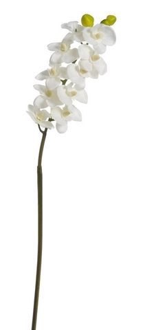 Větvička orchidej 63 cm - bílá