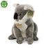 Plyšová koala stojící 25 cm