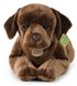 Plyšový labrador 61 cm ležící (eco-friendly)