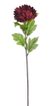 Chryzantéma 58 cm - vínová