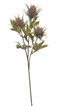 Umělý bodlák s listy - hnědá 67 cm