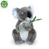 Plyšová koala 30 cm
