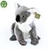 Plyšová koala stojící 25 cm