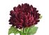 Chryzantéma 58 cm - vínová