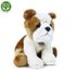 Plyšový pes bulldog 30 cm