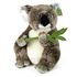 Plyšová koala 30 cm