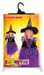 karnevalový kostým čarodějnice/halloween fialová s rukávy, vel. S