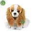 Plyšový pes kavalír King Charles španěl 28 cm