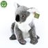 Plyšová koala stojící 25 cm