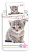 Povlečení fototisk Kitten colour 140x200, 70x90 cm